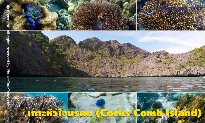 เกาะหัวใจมรกต (Cocks Comb Island)