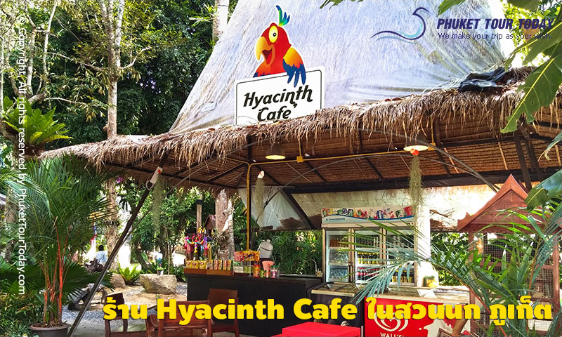 ร้าน Hyacinth Cafe สวนนก ภูเก็ต